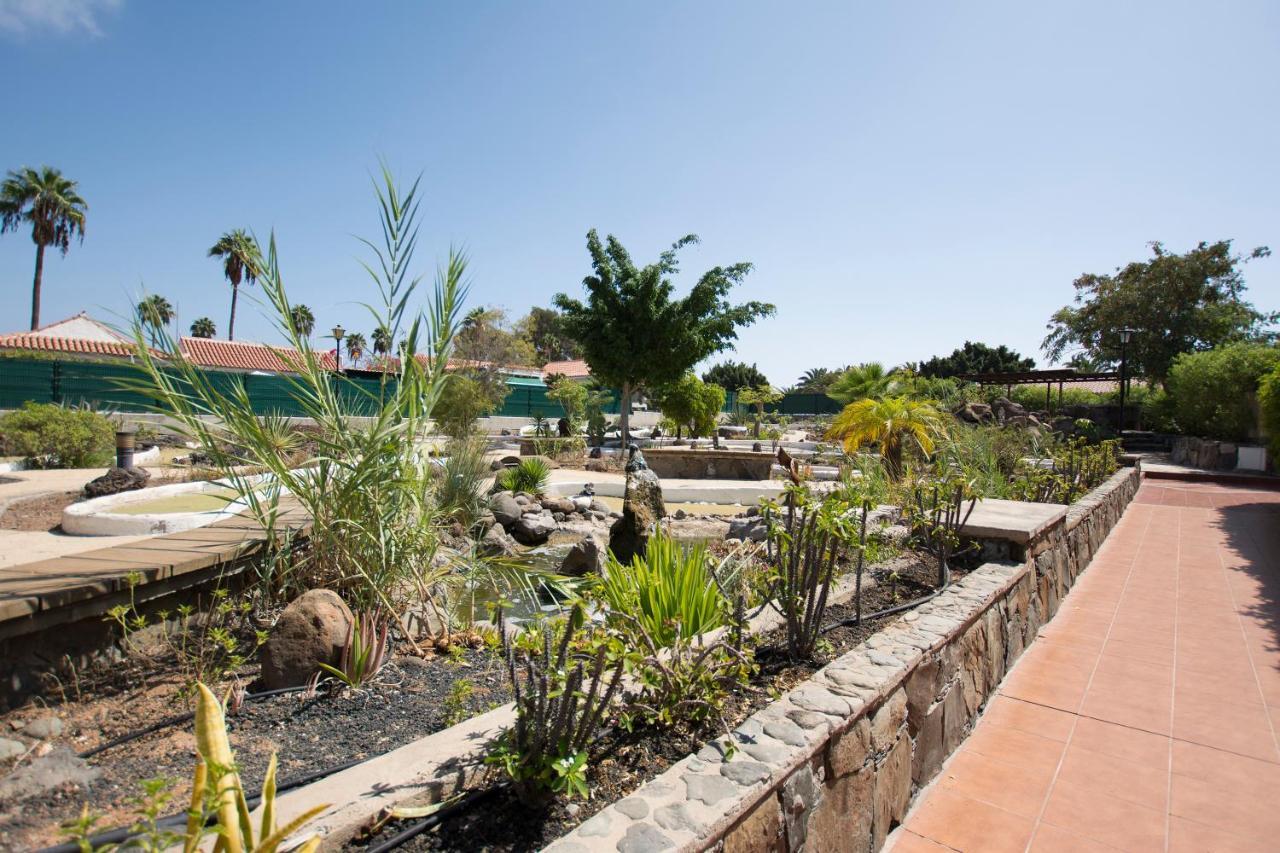 מספאלומס Serenity Garden מראה חיצוני תמונה