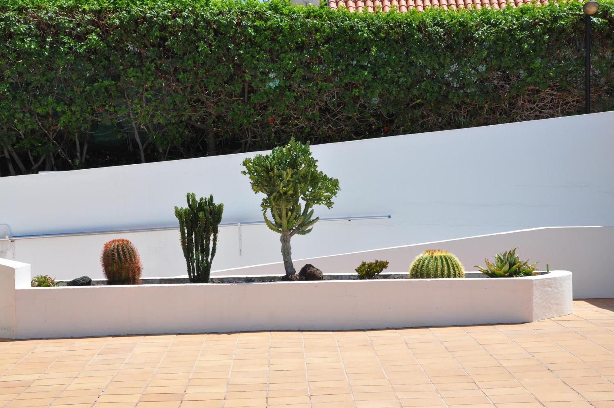 מספאלומס Serenity Garden מראה חיצוני תמונה