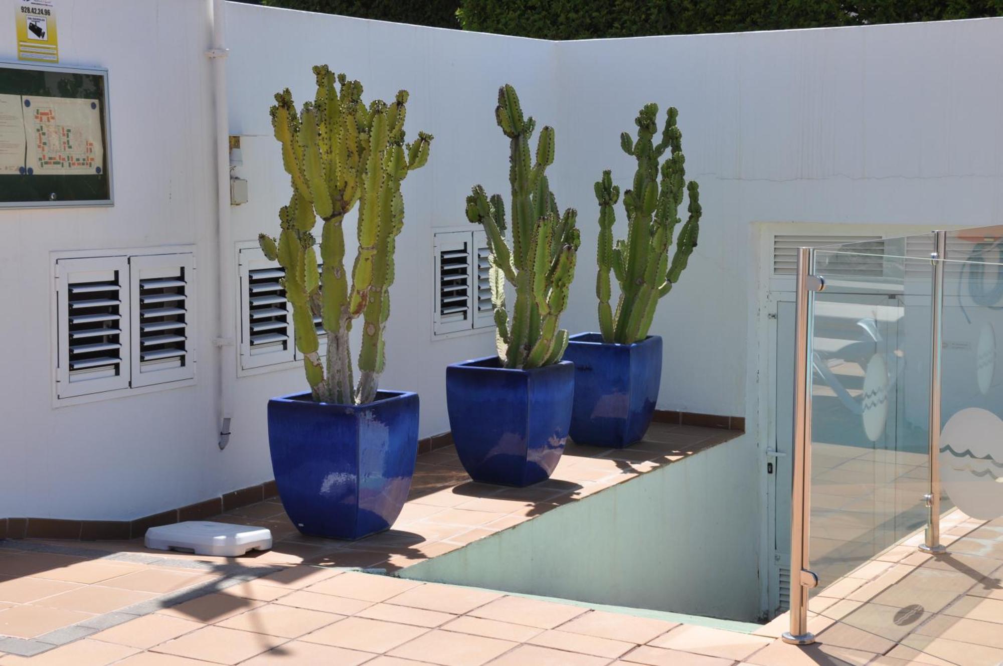 מספאלומס Serenity Garden מראה חיצוני תמונה