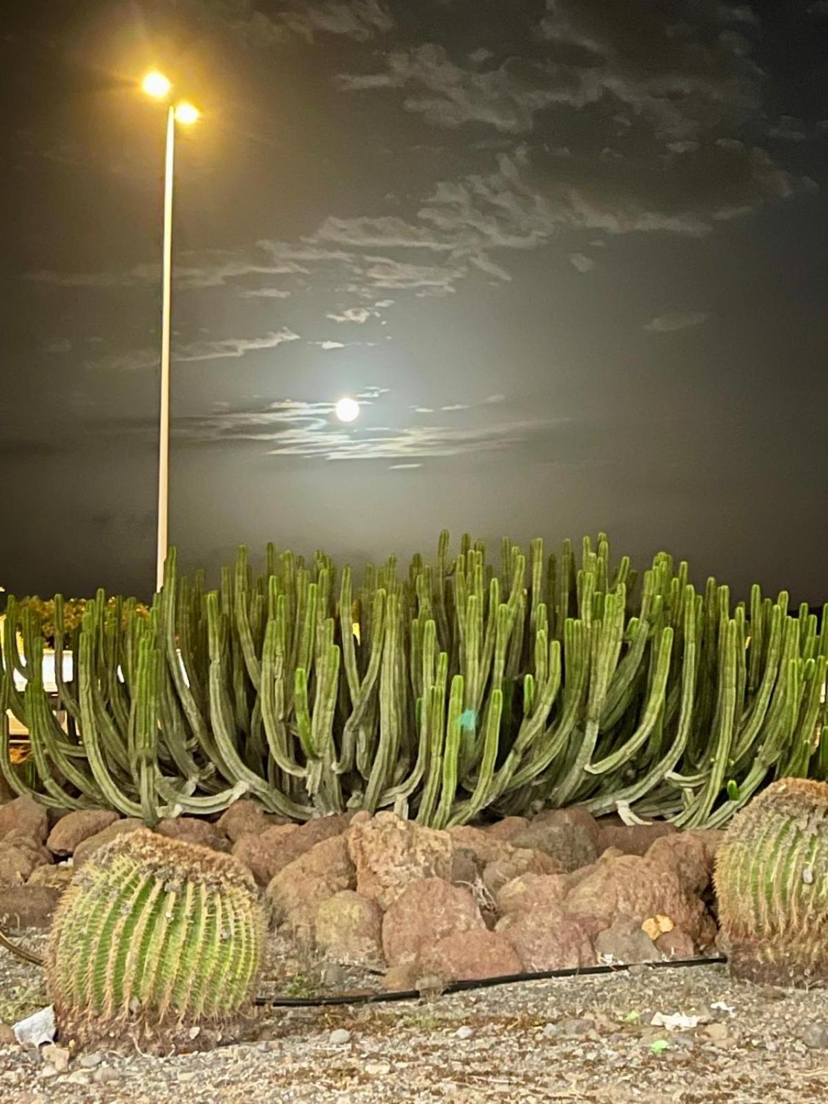 מספאלומס Serenity Garden מראה חיצוני תמונה